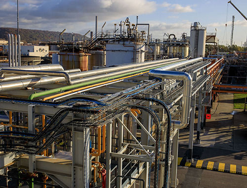 Gonfreville plant view