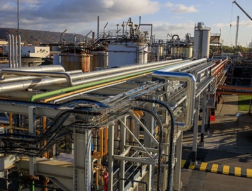 Gonfreville plant view