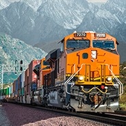 RF249411